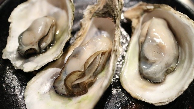 Oesters